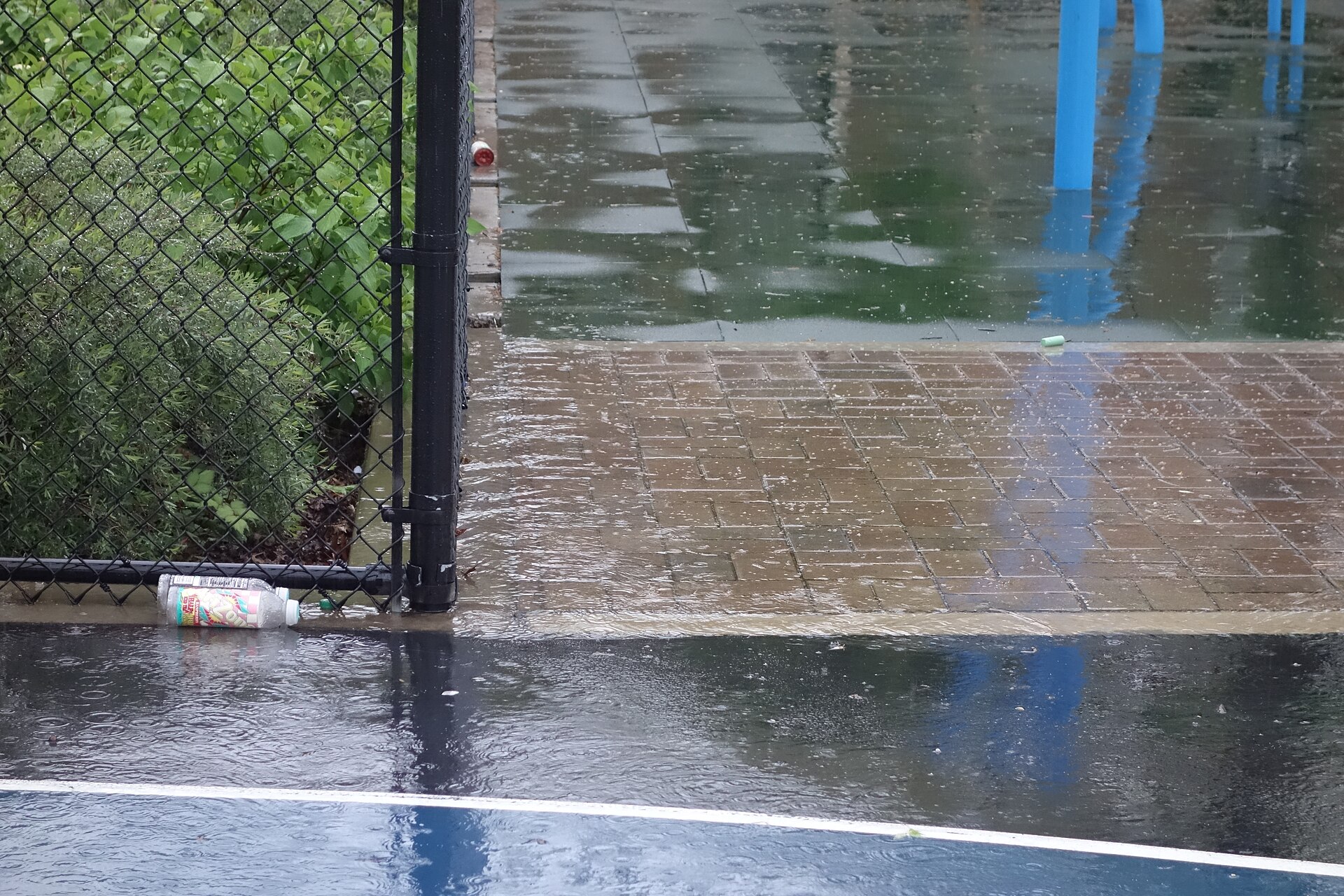 A Bus Stop Was Redesigned as a Pocket Rain Garden