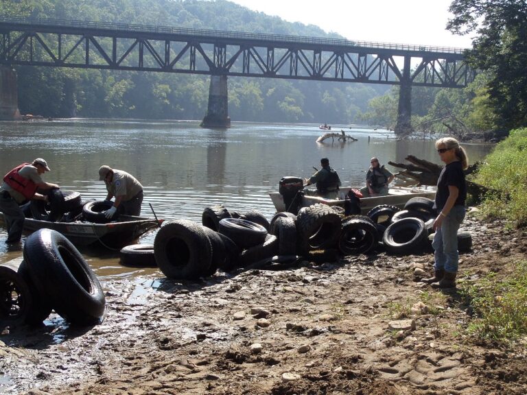A Local River Runs Clearer After a Community Clean-Up Campaign