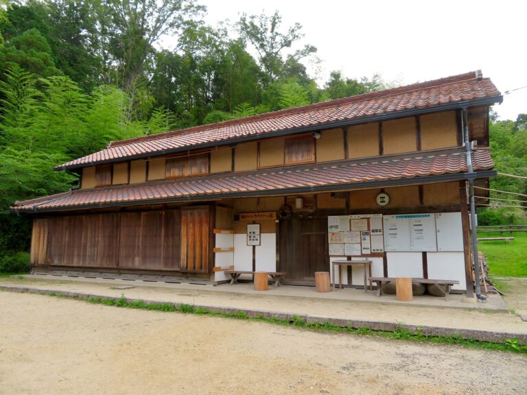 A Satoyama Restoration Project in Japan Is Reconnecting Local Forests and Local Use