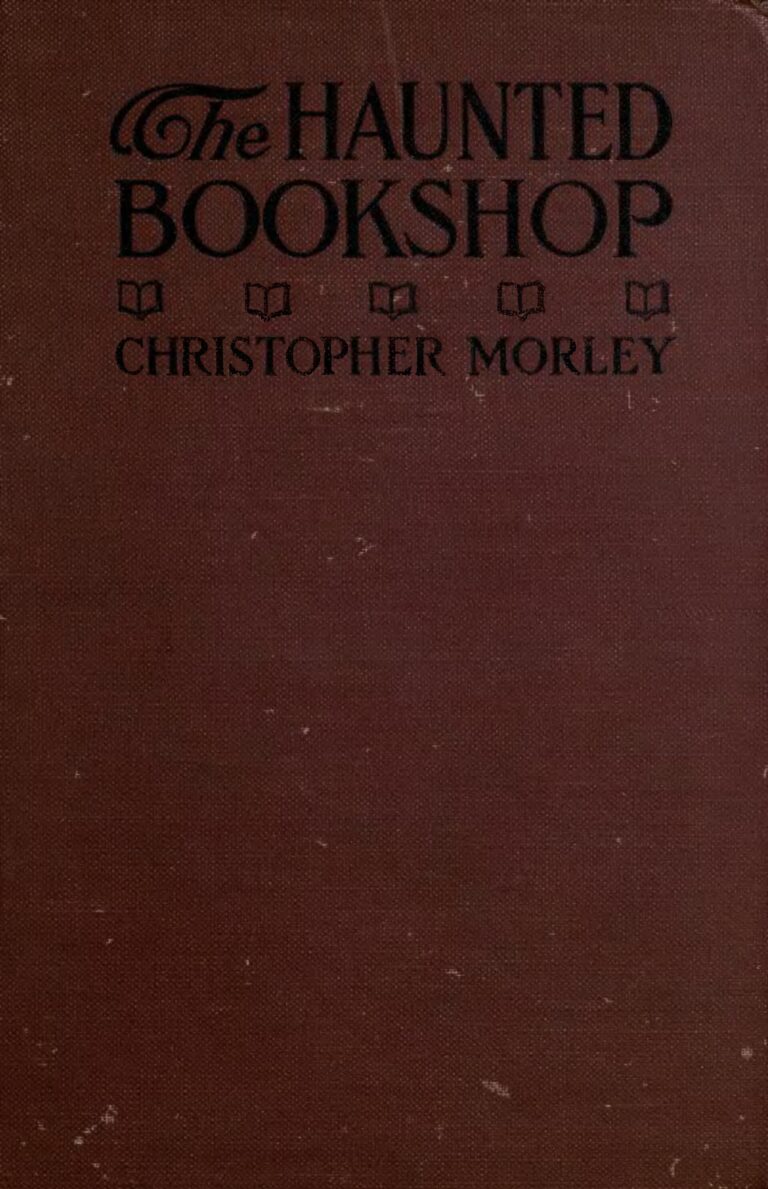 A Small Bookshop Stayed Open Late for Quiet Readers