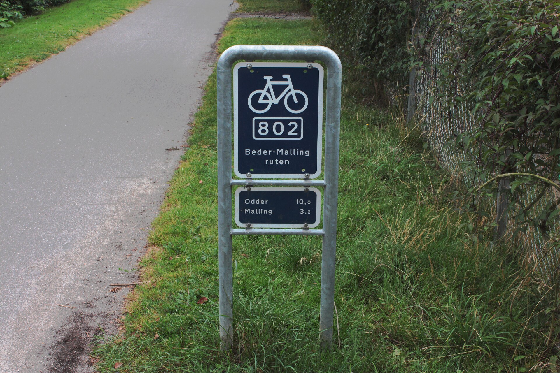 Denmark’s Cycling Network Shows How Movement Can Be Built Into Daily Life