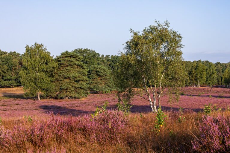 Denmark’s Ice Age Route Turns Ancient Landscapes Into a Cycling Trail
