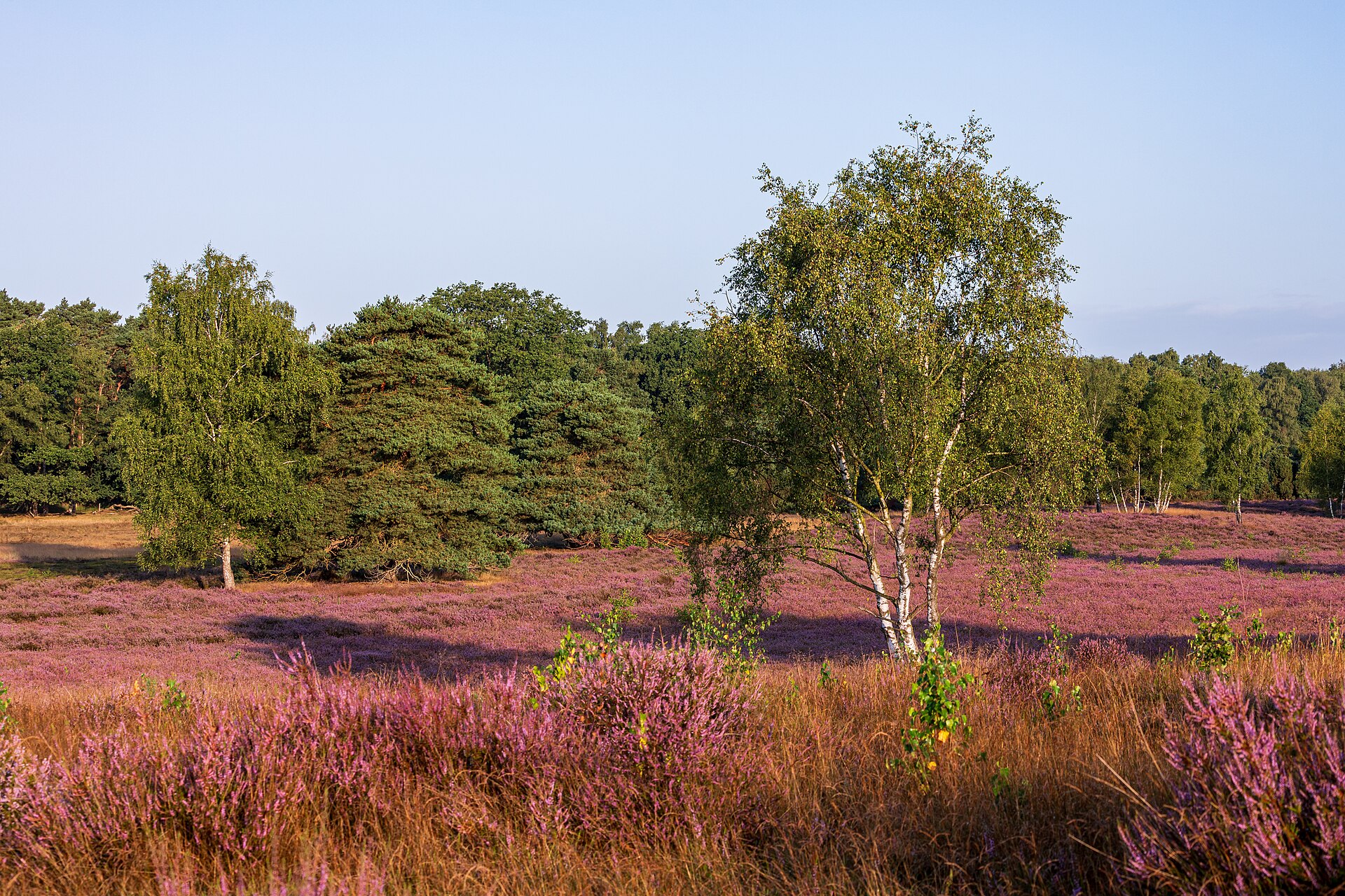 Denmark’s Ice Age Route Turns Ancient Landscapes Into a Cycling Trail