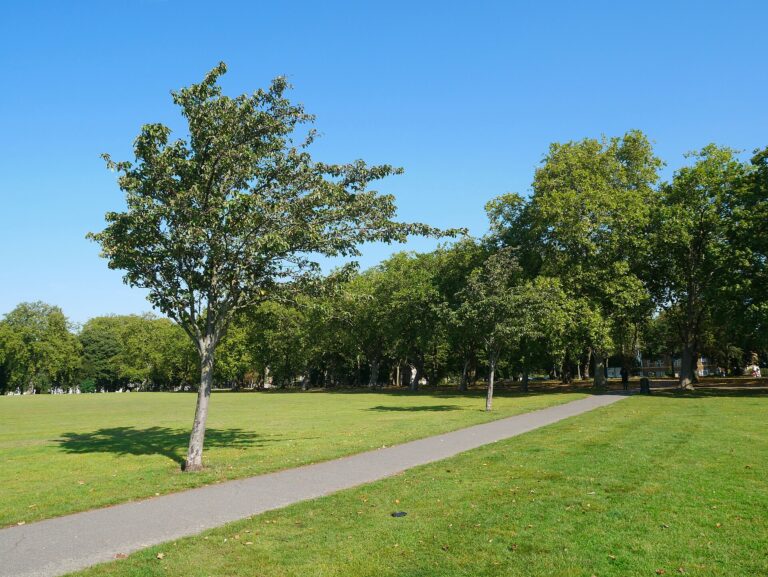 East London Is Creating a 14-Mile Nature Corridor Through Four Boroughs