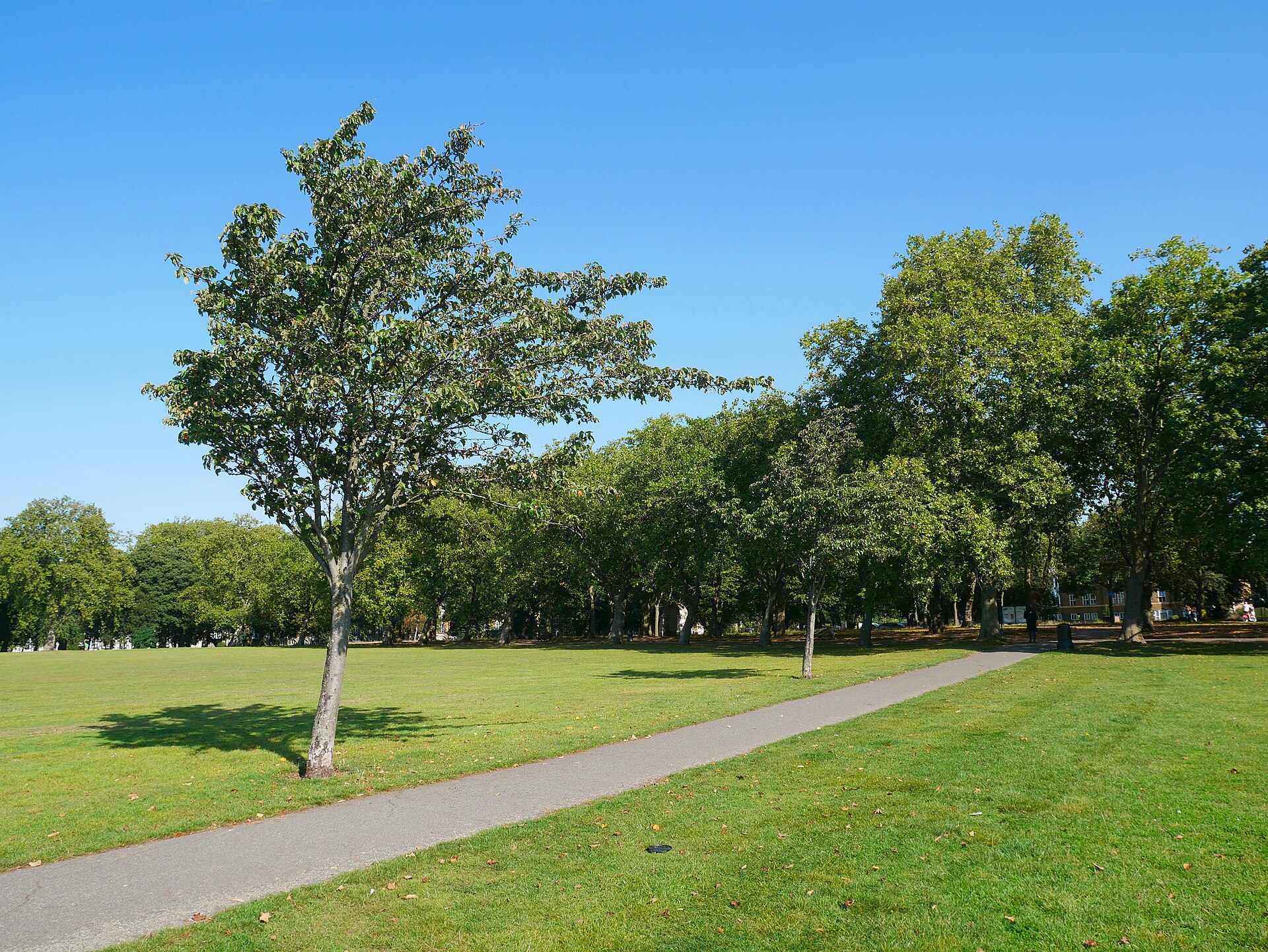 East London Is Creating a 14-Mile Nature Corridor Through Four Boroughs