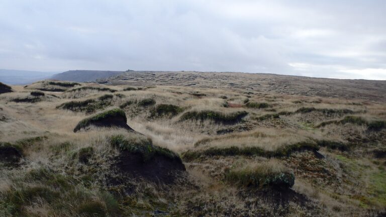 England’s Peatland Restoration Work Is Moving From Border Mires to Bodmin Moor