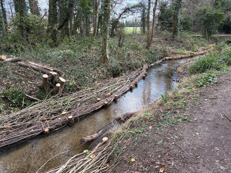 Ireland Backed 103 River Barrier Projects to Help Waterways Flow Again