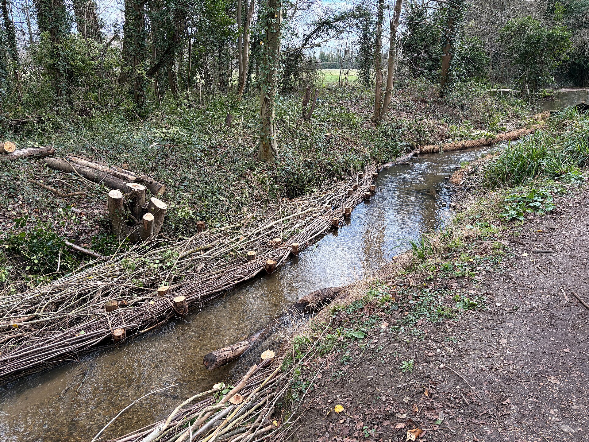 Ireland Backed 103 River Barrier Projects to Help Waterways Flow Again
