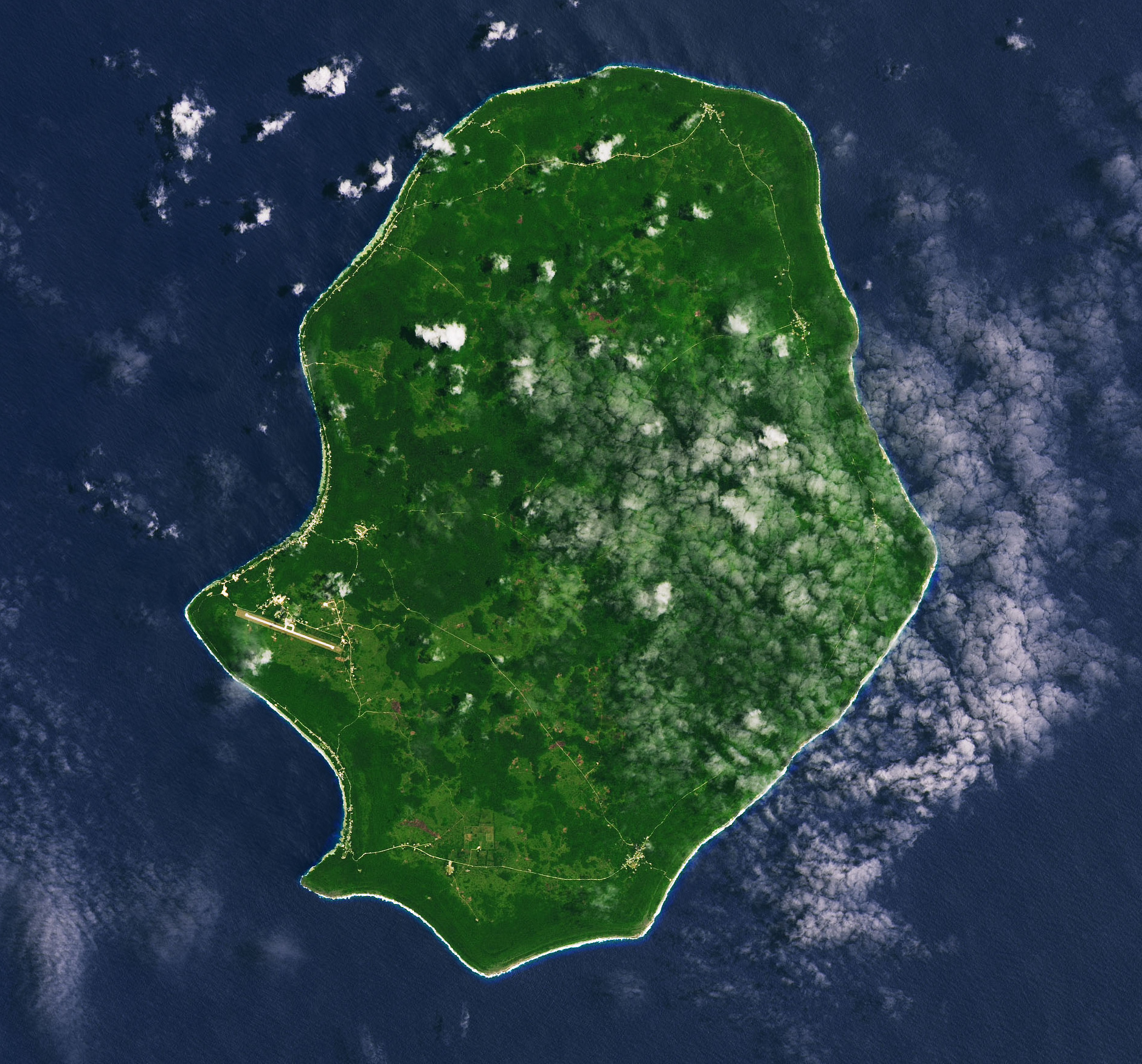 New AI Maps Could Help Planners Protect Biodiversity Earlier