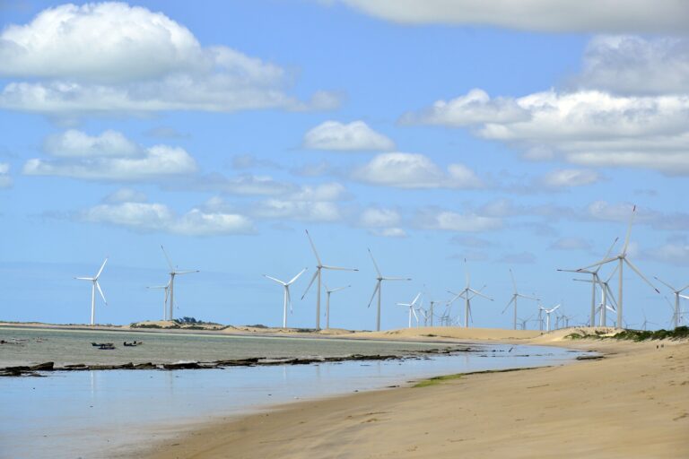 Portugal Generated Over 80 Percent of Its Electricity From Renewables in January
