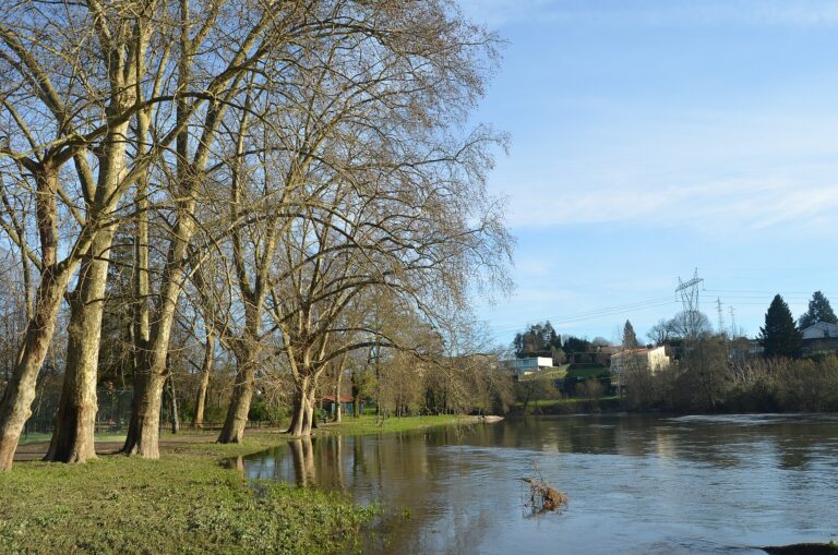 Portugal’s Guimarães Is Using Its European Green Capital Year to Showcase Urban Nature