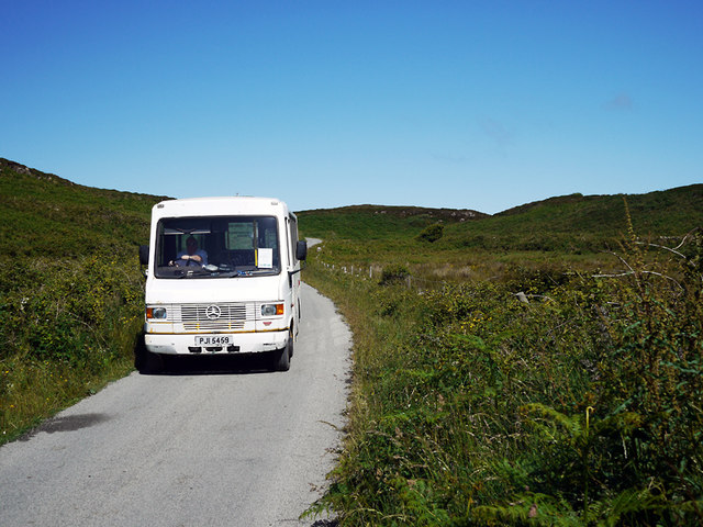Rathlin Island’s Seabirds Gain Safer Nesting Ground After Ferrets Are Removed