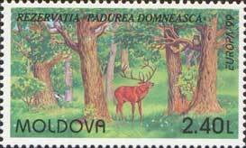Red Deer Recovery Work Advanced in Croatia’s Velebit Mountains