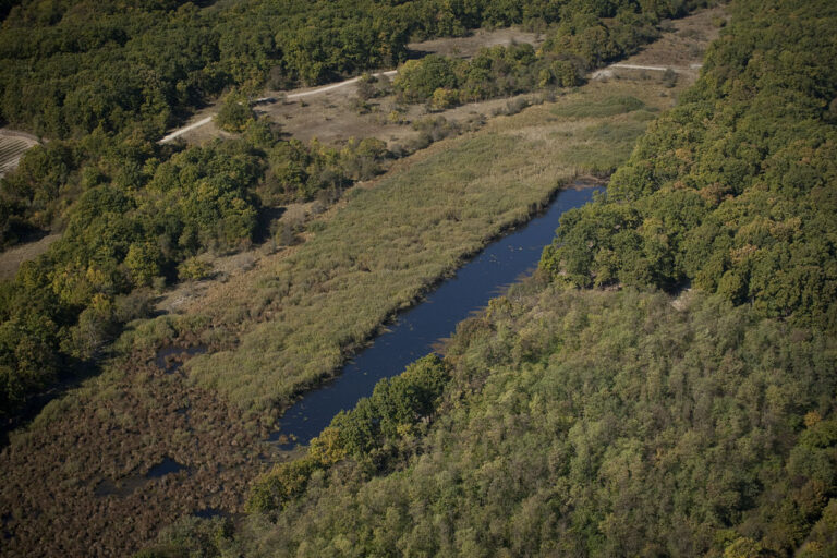 Serbian Birdwatchers Crowdfunded a Woodland and Saved It From Being Cut Down